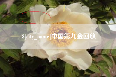桦甸中国第九金回放
