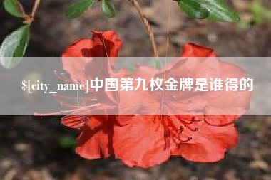 桦甸中国第九枚金牌是谁得的