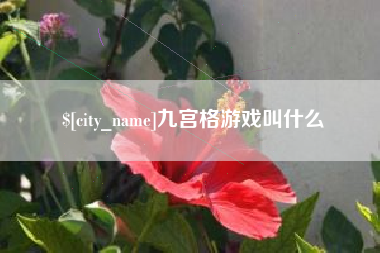 桦甸九宫格游戏叫什么