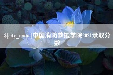 桦甸中国消防救援学院2021录取分数