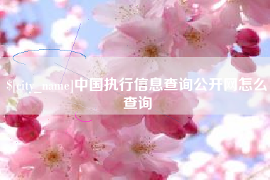 桦甸中国执行信息查询公开网怎么查询