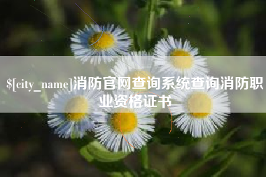 桦甸消防官网查询系统查询消防职业资格证书