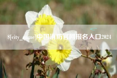 桦甸中国消防官网报名入口2024