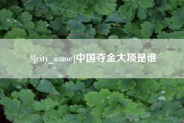 桦甸中国夺金大项是谁