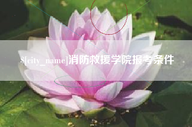 桦甸消防救援学院报考条件