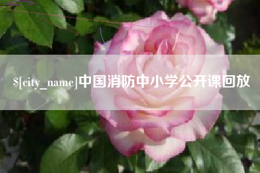 桦甸中国消防中小学公开课回放