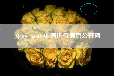 桦甸中国执行信息公开网
