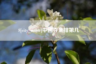 桦甸中国夺金排第几