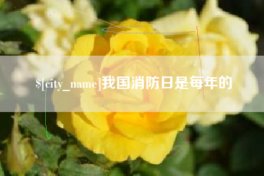 桦甸我国消防日是每年的