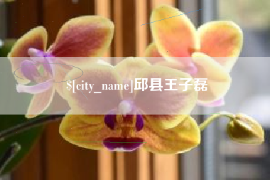 桦甸邱县王子磊