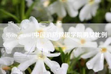 桦甸中国消防救援学院男女比例
