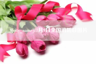 桦甸11月9日全国消防日图片