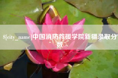 桦甸中国消防救援学院新疆录取分数