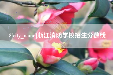 桦甸浙江消防学校招生分数线