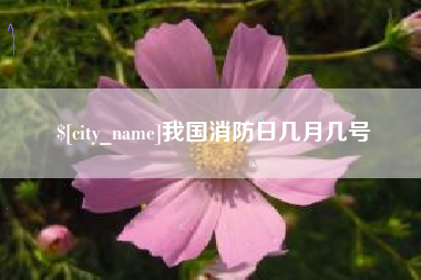桦甸我国消防日几月几号
