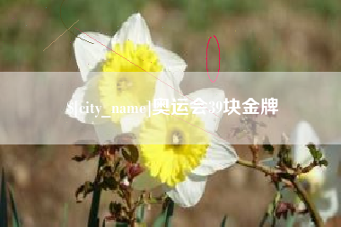 桦甸奥运会39块金牌