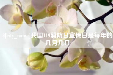 桦甸我国119消防日宣传日是每年的几月几日
