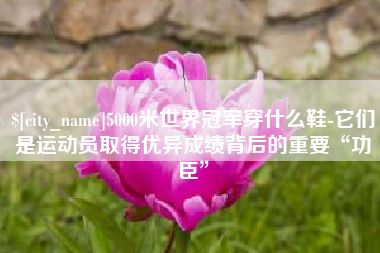 桦甸5000米世界冠军穿什么鞋-它们是运动员取得优异成绩背后的重要“功臣”