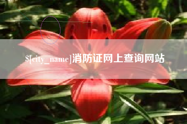 桦甸消防证网上查询网站