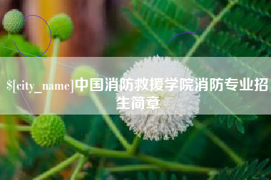 桦甸中国消防救援学院消防专业招生简章