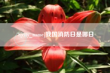 桦甸我国消防日是哪日