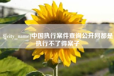 桦甸中国执行案件查询公开网都是执行不了得案子