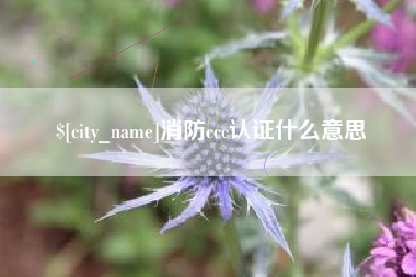 桦甸消防ccc认证什么意思