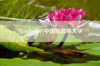 桦甸中国的消防大学