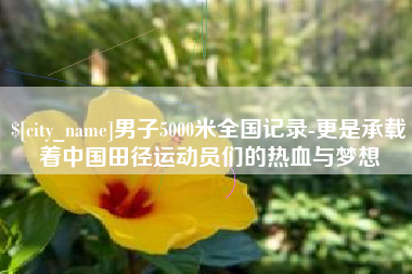 桦甸男子5000米全国记录-更是承载着中国田径运动员们的热血与梦想