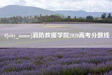 桦甸消防救援学院2020高考分数线