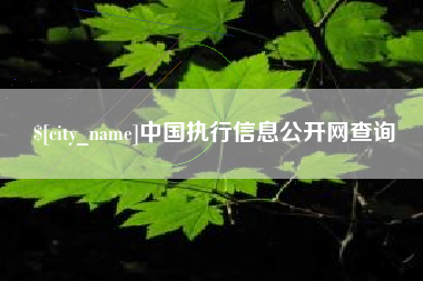 桦甸中国执行信息公开网查询