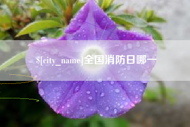 桦甸全国消防日哪一