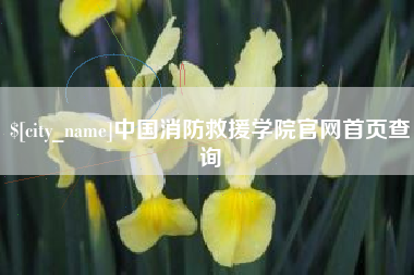 桦甸中国消防救援学院官网首页查询