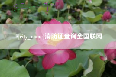 桦甸消防证查询全国联网