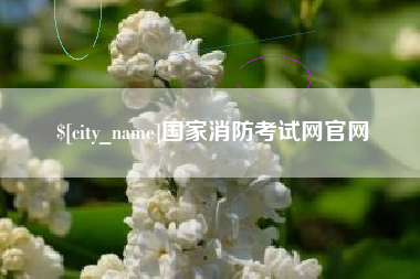 桦甸国家消防考试网官网