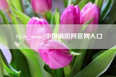 桦甸中国消防网官网入口