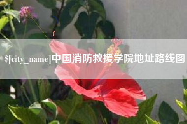 桦甸中国消防救援学院地址路线图