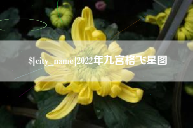 桦甸2022年九宫格飞星图