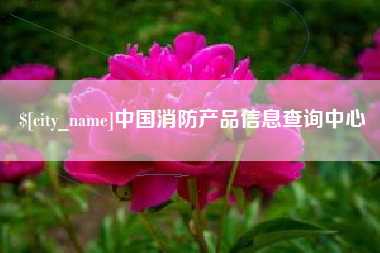 桦甸中国消防产品信息查询中心