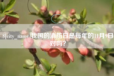 桦甸我国的消防日是每年的11月9日对吗？
