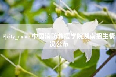 桦甸中国消防救援学院湖南招生情况公布