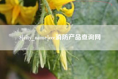 桦甸ccc消防产品查询网