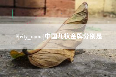 桦甸中国九枚金牌分别是