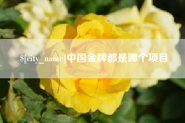 桦甸中国金牌都是哪个项目
