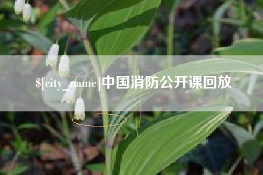 桦甸中国消防公开课回放