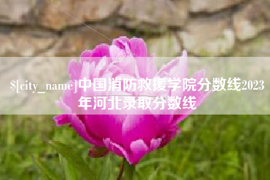 桦甸中国消防救援学院分数线2023年河北录取分数线