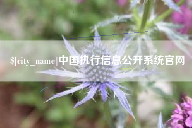 桦甸中国执行信息公开系统官网