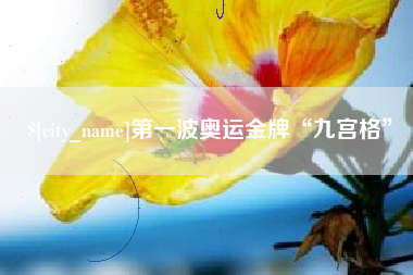 桦甸第一波奥运金牌“九宫格”