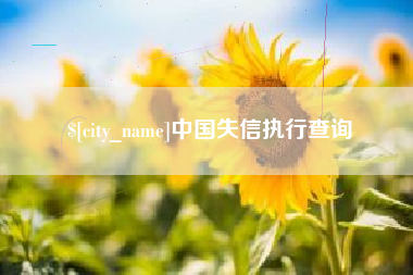 桦甸中国失信执行查询