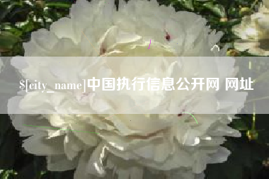 桦甸中国执行信息公开网 网址